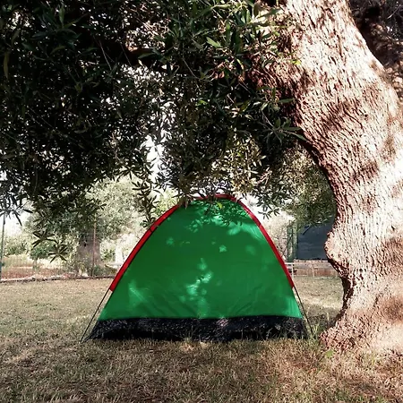 Campsite Piscina Pepe Rosa *