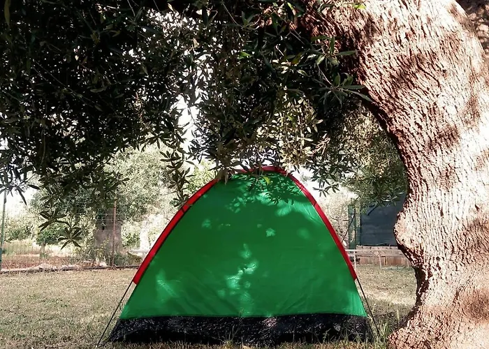Camping Piscina Pepe Rosa *